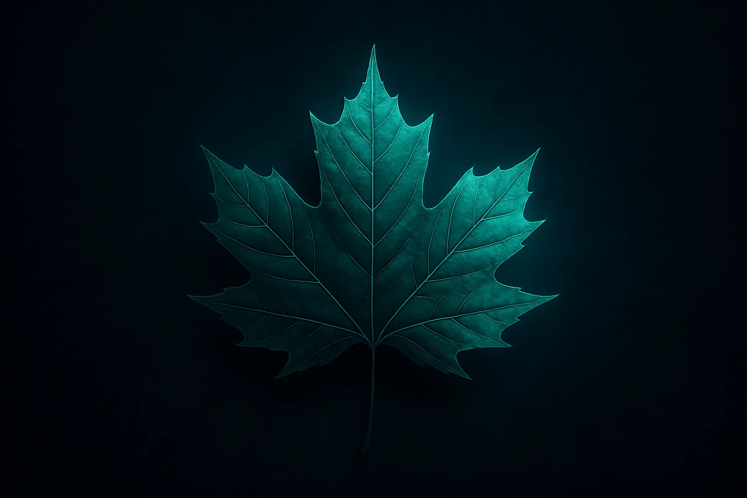 Best Interac Casino Canada — Nibinamik.ca